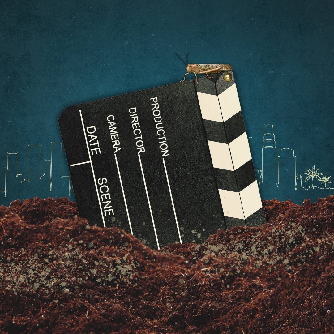 Q&A: Day of the Locust